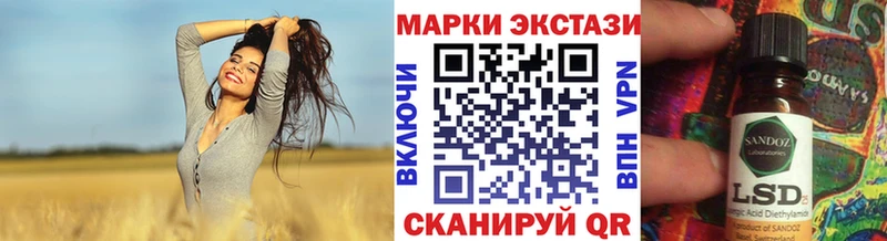 Купить закладки  Камышлов  Наркотические марки 1500мкг 