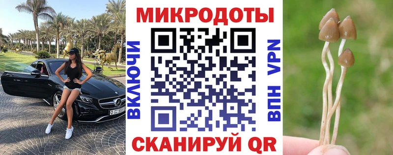 Купить закладки  Камышлов  Галлюциногенные грибы Cubensis 